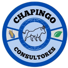 Chapingo consultores