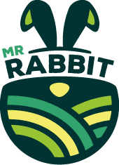 MrRabbit