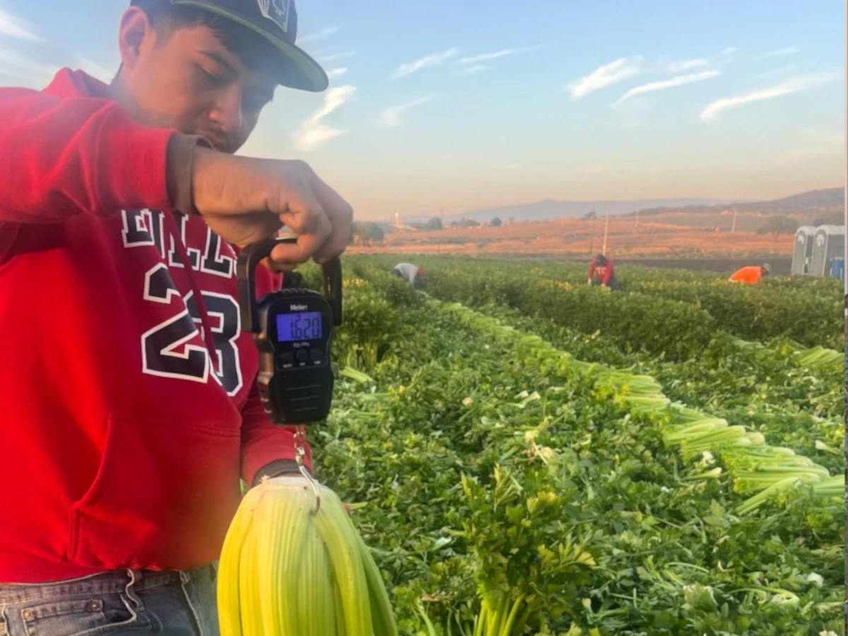 Equipo de trabajo en campo